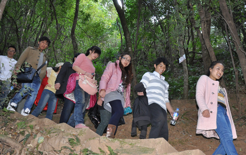 青龍峽位于昆明西郊安寧市青龍鎮(zhèn)滇中生態(tài)大峽谷中，景區(qū)有保存較為完好的植物群落，遮天蔽日的參天古木；有浪漫山花，野果飄香，還有清秀寧靜的田園風光。河谷沿岸古柳成蔭，幾十里的云南櫻花大道成為昆明郊游靚麗的風景線。景區(qū)中溪水潺潺，千姿百態(tài)、千奇百怪的蔓藤風光隨處可見，號稱“都市身旁的小九寨。